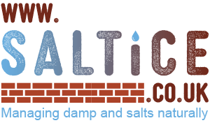 Saltice